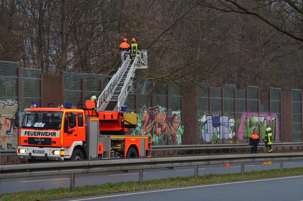 Einsatz BF Baum Koeln Vingst Vingster Ring P33.JPG - Miklos Laubert